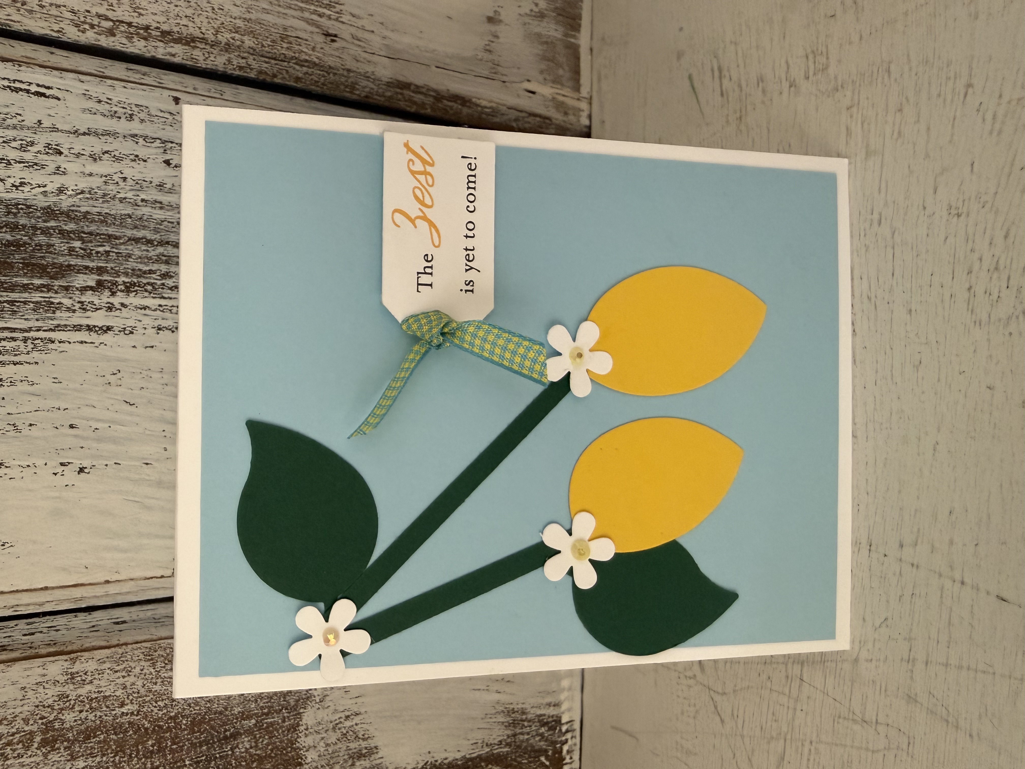 Fruity Fun card example